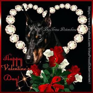 Meet your Posher, Dee